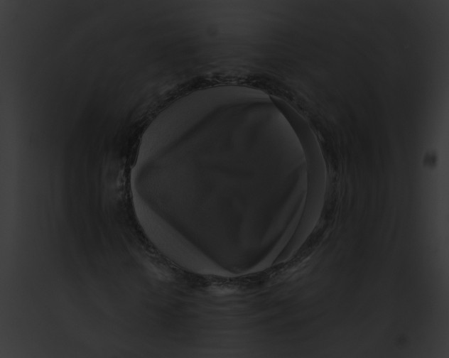 X0000091890818200710031139