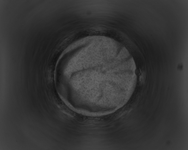 X0000091890819200710031139