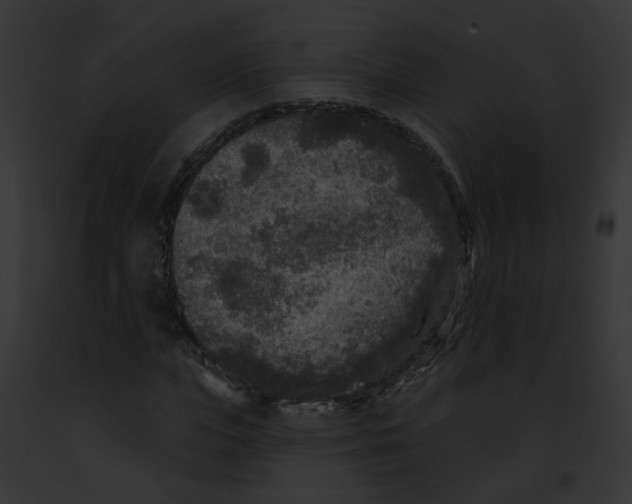 X0000091890823200710031139