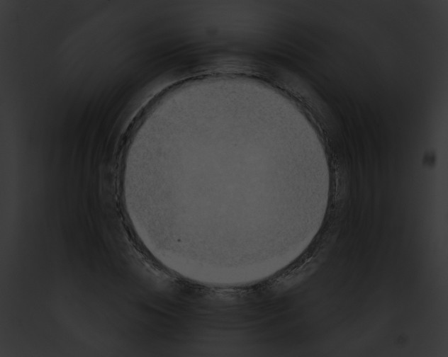 X0000091890828200710031139