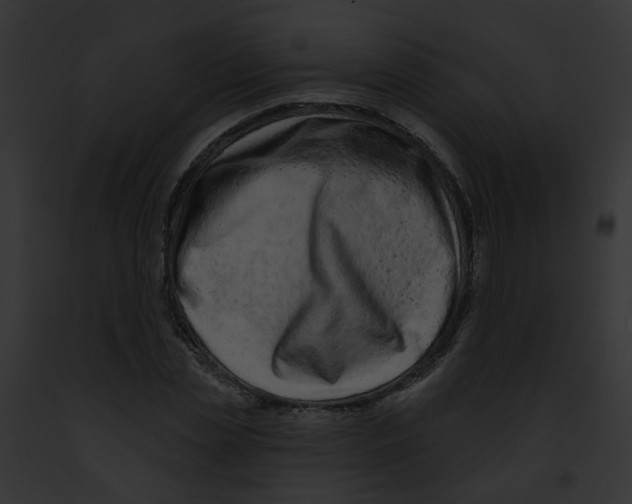 X0000091890829200710031139