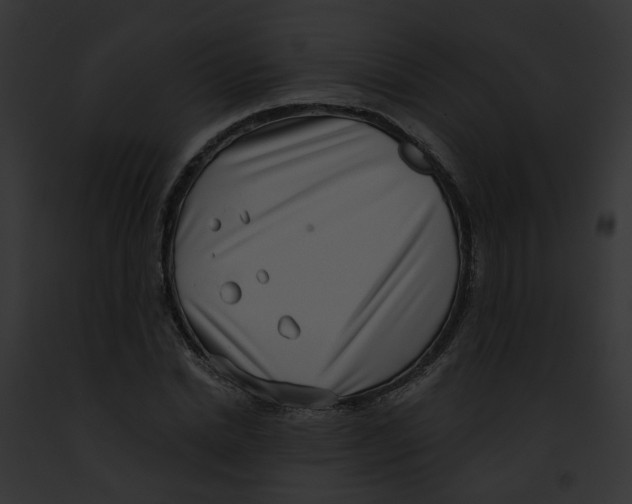 X0000091890830200710031139