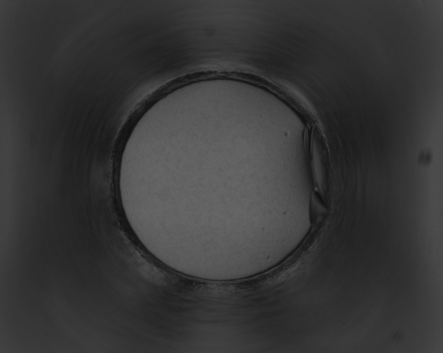X0000091890831200710031139
