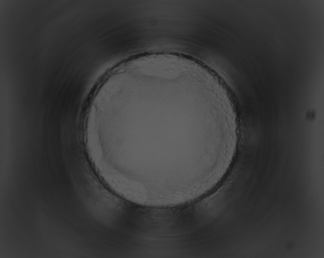 X0000091890832200710031139