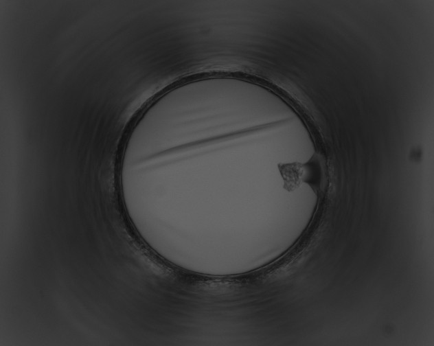 X0000091890834200710031139