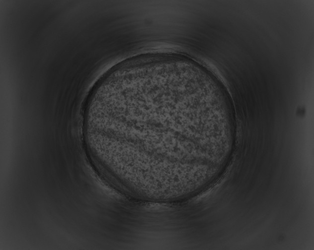 X0000091890835200710031139