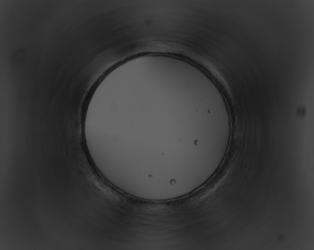 X0000091890837200710031139