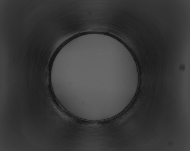 X0000091890838200710031139