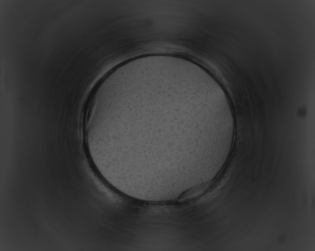 X0000091890843200710031139