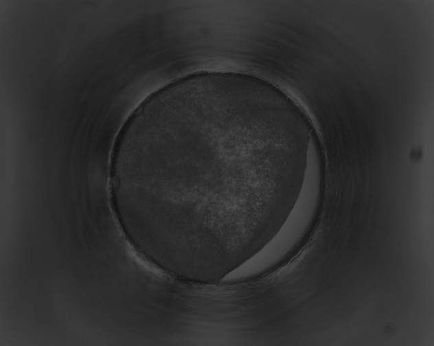 X0000091890845200710031140