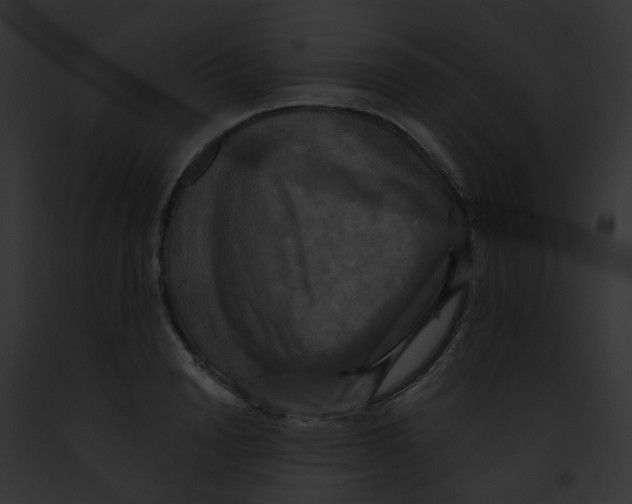 X0000091890846200710031140