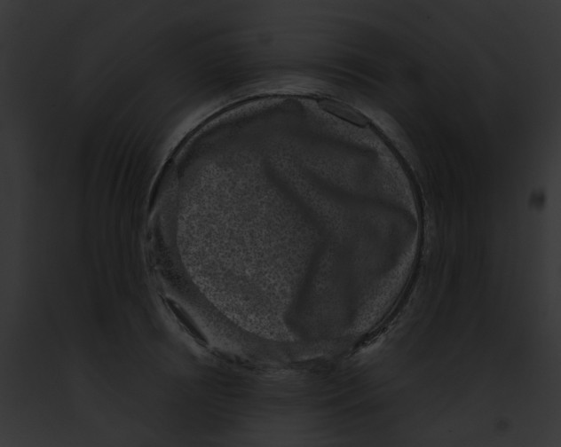 X0000091890850200710031140