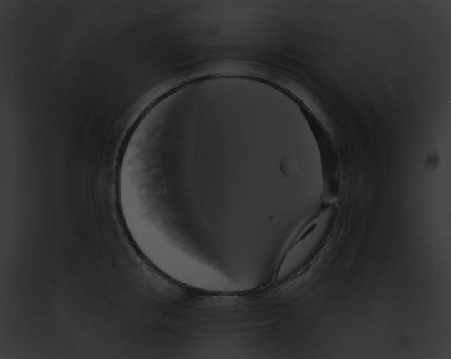 X0000091890853200710031140