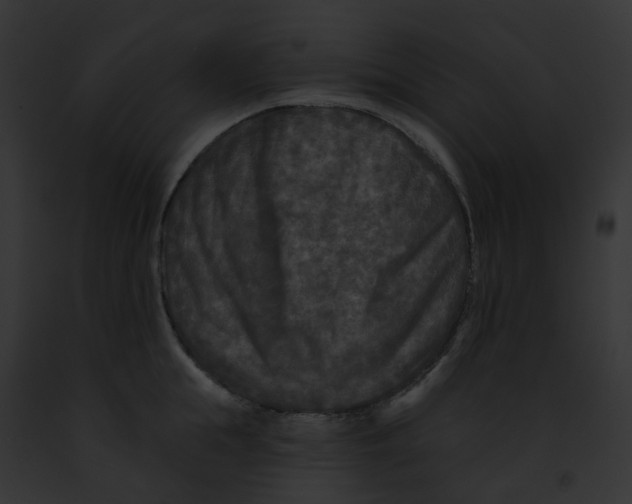 X0000091890855200710031140