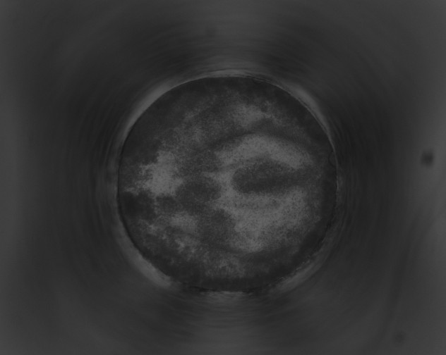 X0000091890859200710031140
