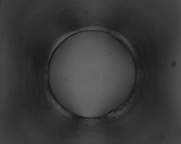 X0000091890860200710031140