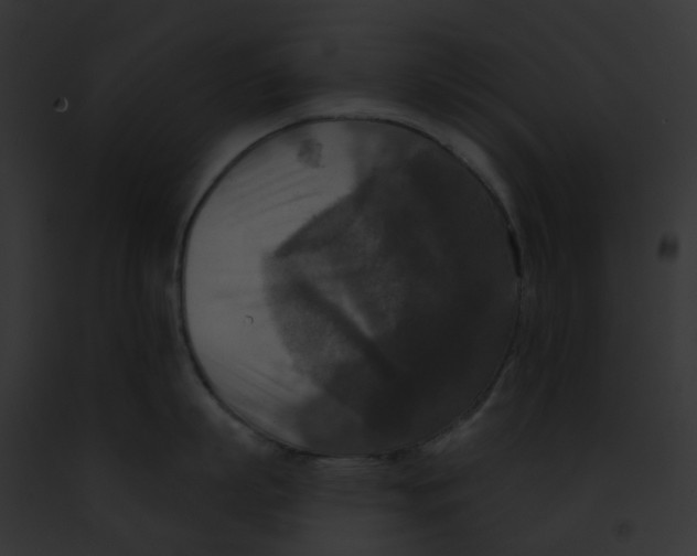 X0000091890863200710031140
