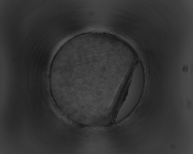 X0000091890864200710031140