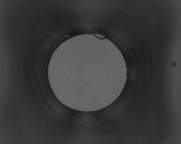 X0000091890865200710031139