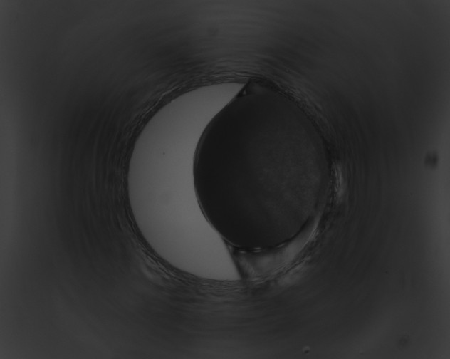 X0000091890868200710031139