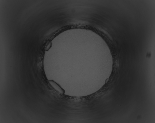 X0000091890869200710031139
