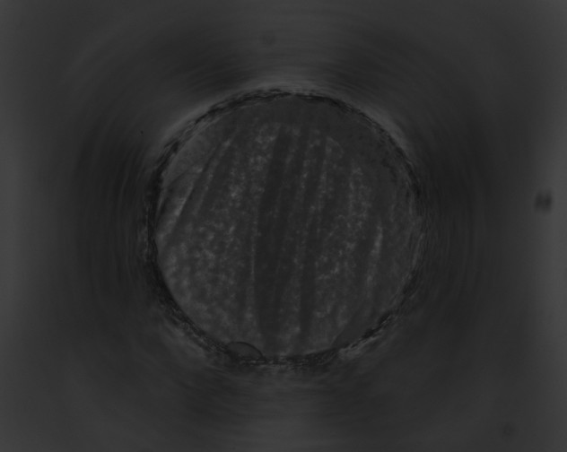 X0000091890872200710031139