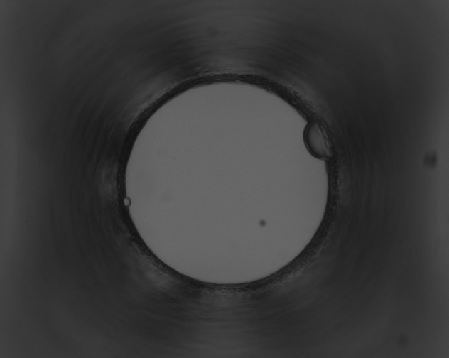 X0000091890873200710031139