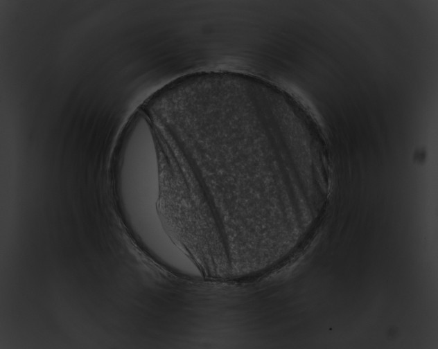 X0000091890876200710031139