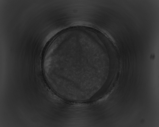 X0000091890877200710031139