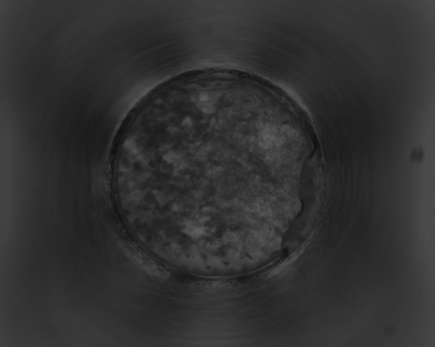 X0000091890879200710031139