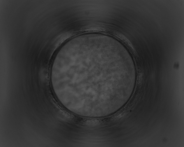 X0000091890882200710031139