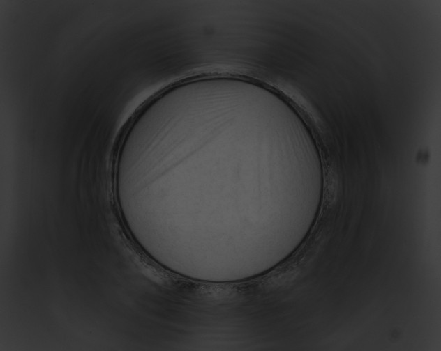 X0000091890886200710031139