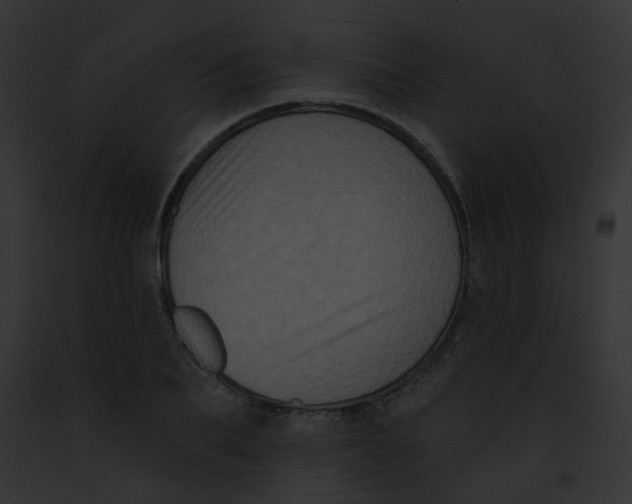 X0000091890887200710031139