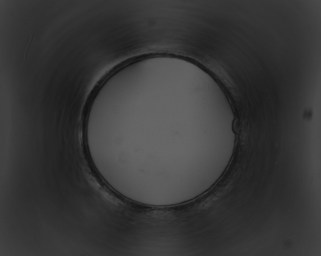 X0000091890888200710031139