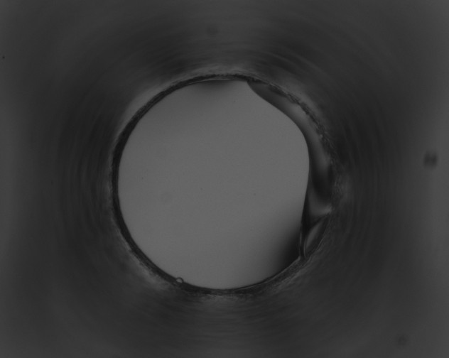 X0000091890894200710031139