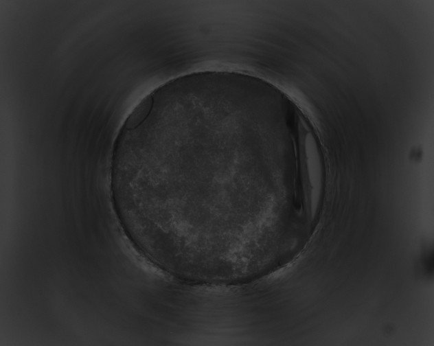 X0000091890896200710031139