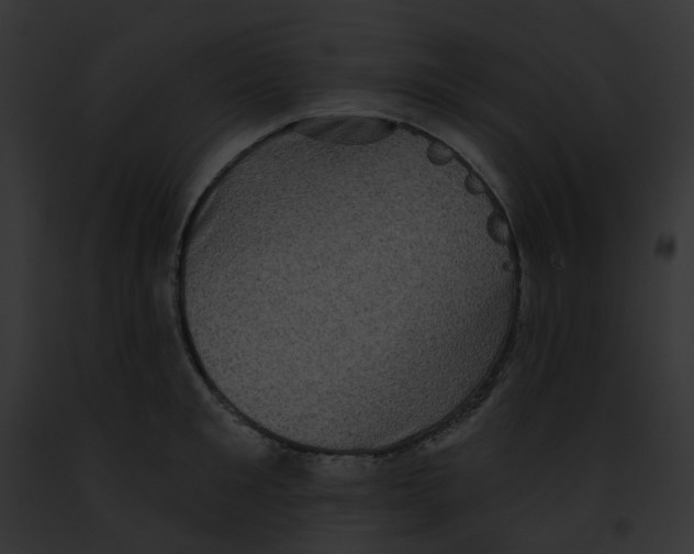 X0000091890901200710031139
