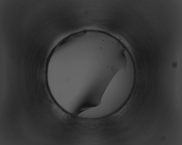 X0000091890902200710031139