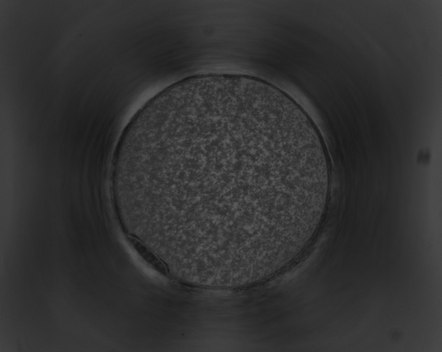 X0000091890909200710031139