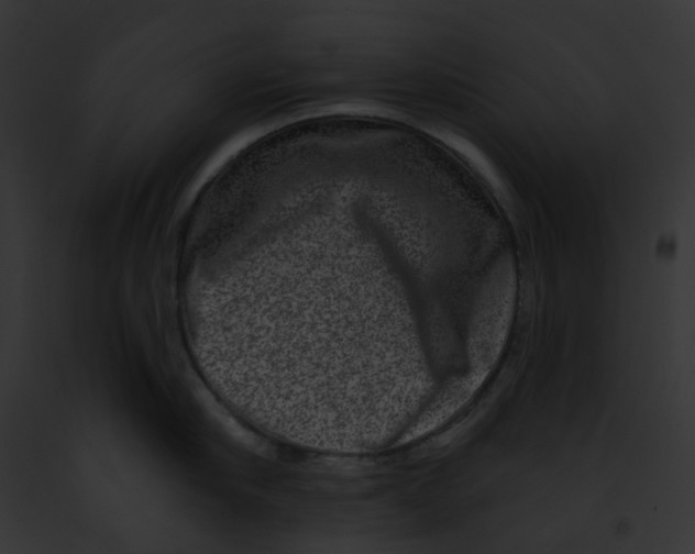 X0000091890910200710031139