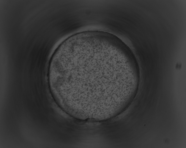 X0000091890912200710031139