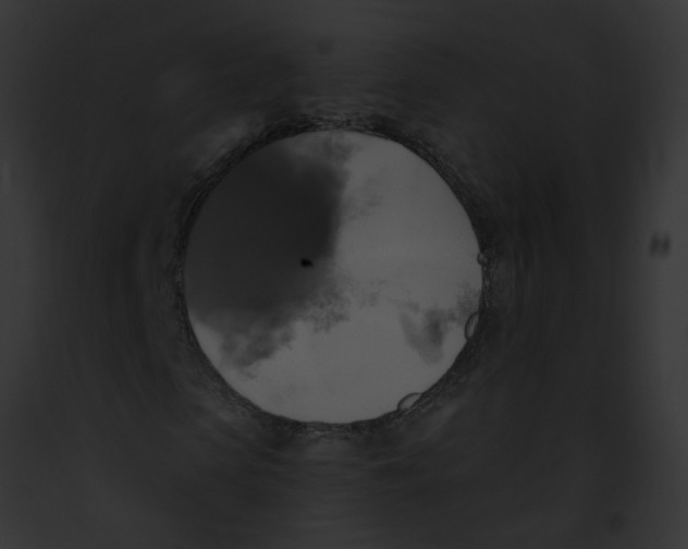 X0000091890913200710031138