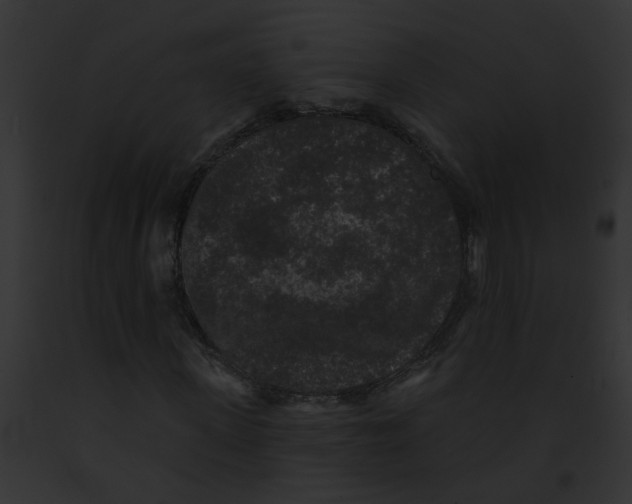 X0000091890915200710031138