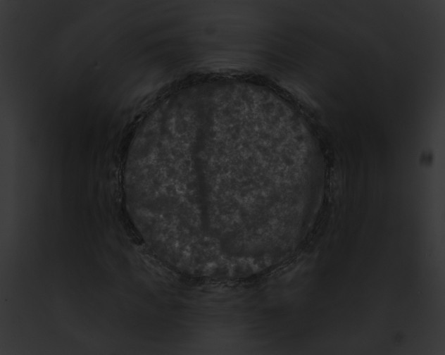 X0000091890917200710031138