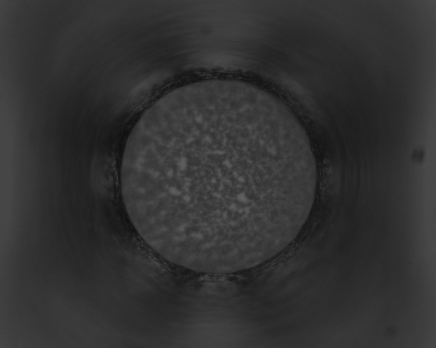 X0000091890918200710031138
