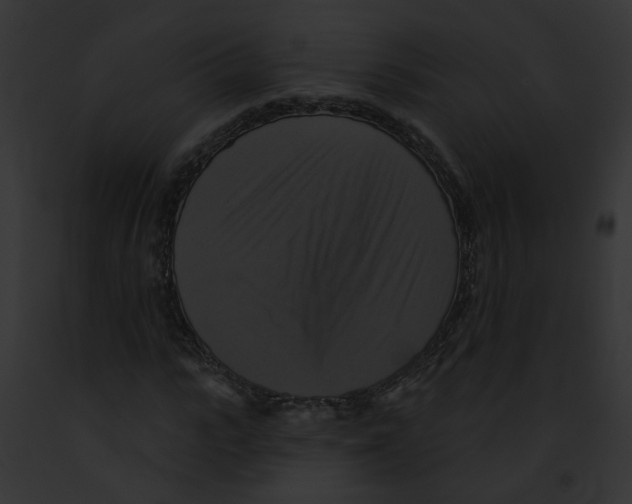 X0000091890919200710031138
