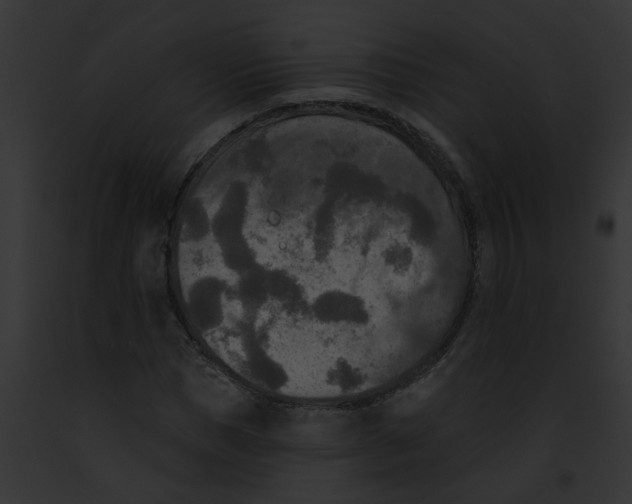 X0000091890921200710031138