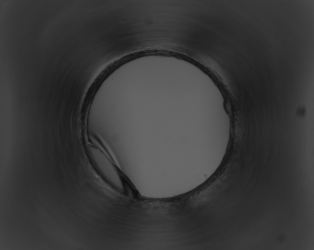 X0000091890924200710031138