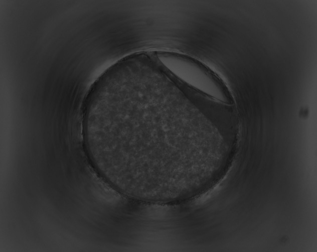 X0000091890925200710031138