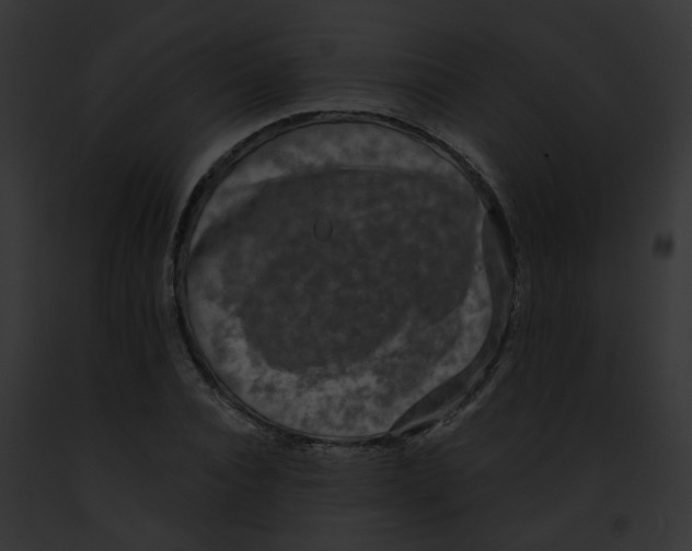 X0000091890928200710031138